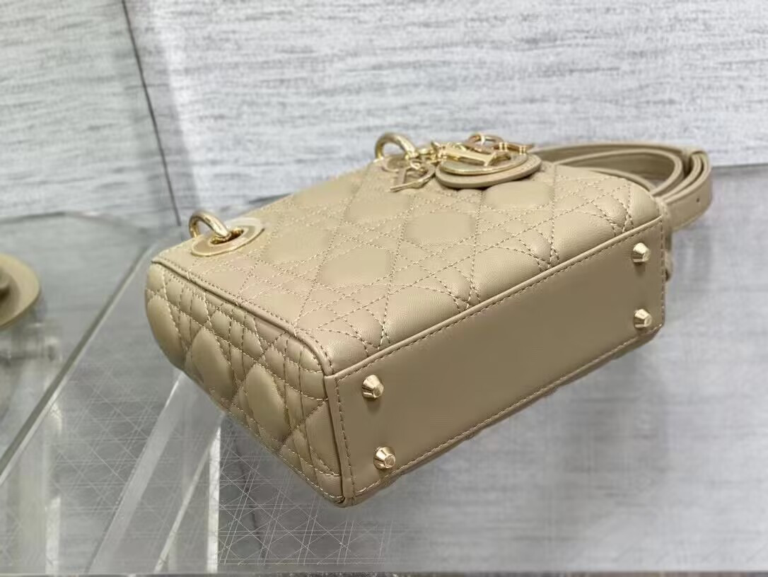mini lady D*or bag 17x7x15cm