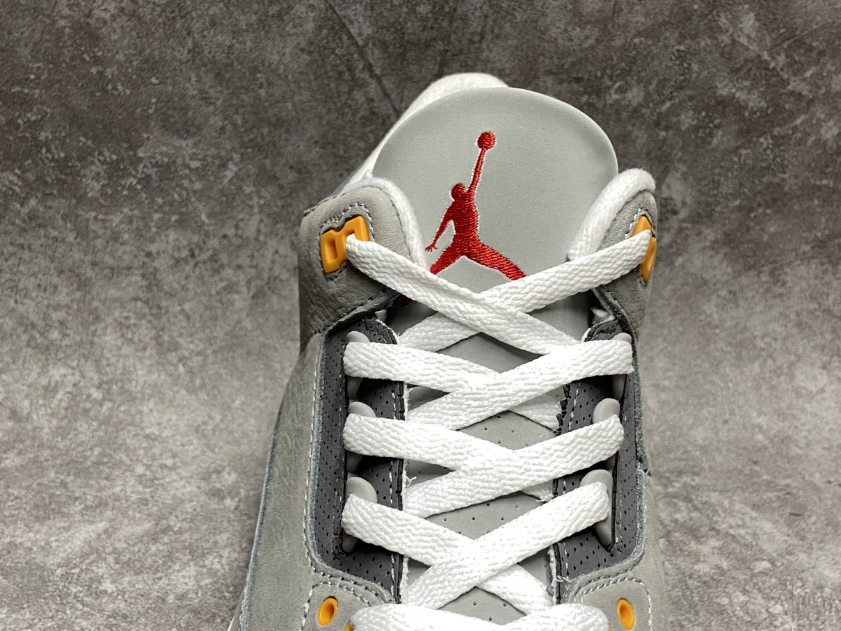 Air Jordan 3 Retro Cool Grey 2021