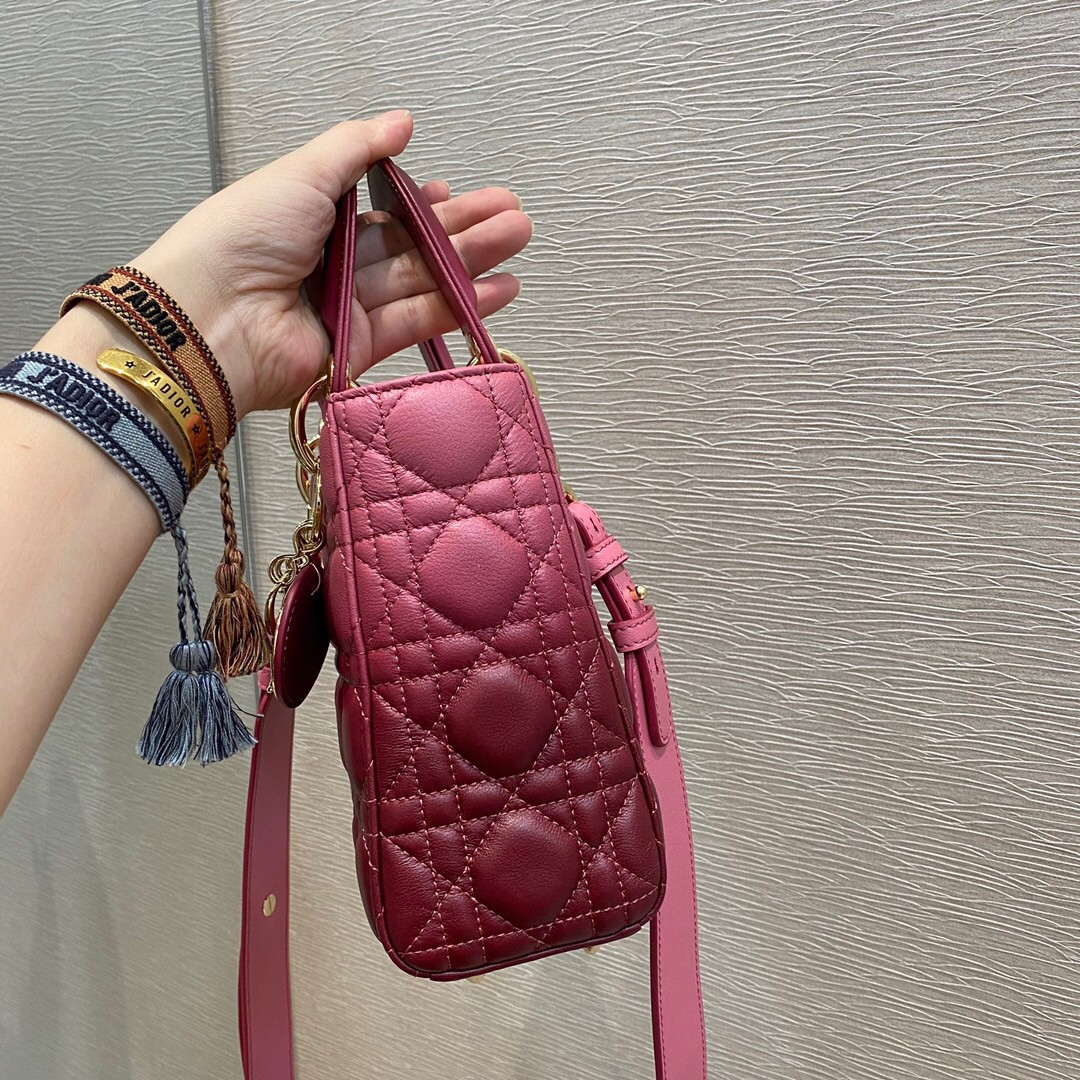 small lady D*or bag 8 x 6.5 x 3 inches