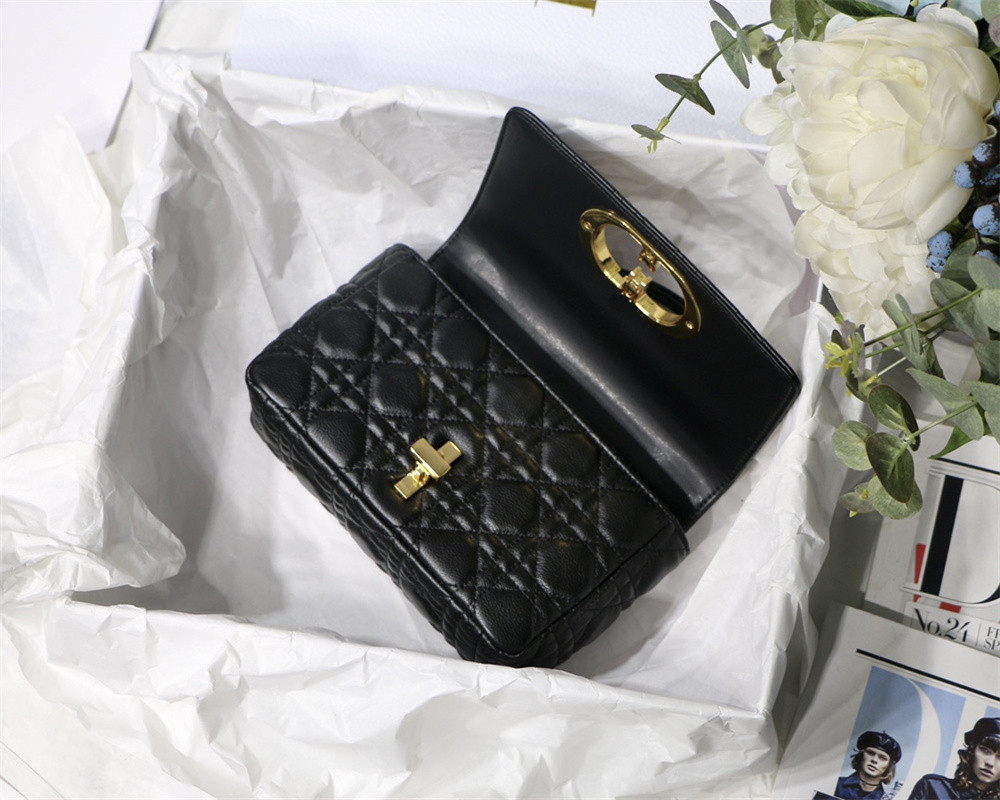 small d*or caro bag black S*pple cannage calfskin 20 x 12 x 7 cm