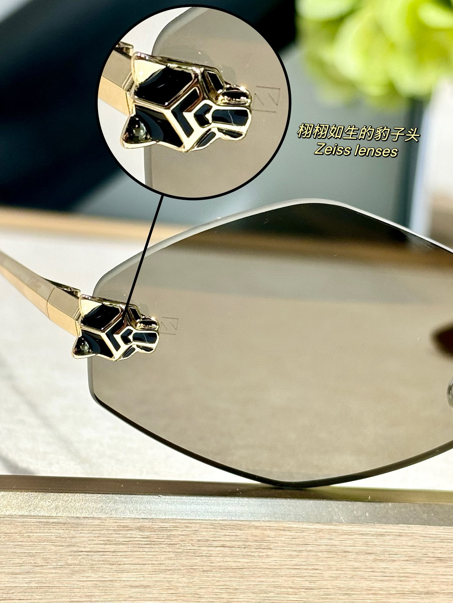 Ca*t*er glasses ct0433s 55-22-140