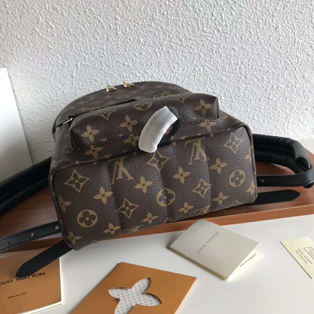 Louis Vuitton LV Unisex Palm Springs PM Backpack in Monogram Coated Canvas-Brown