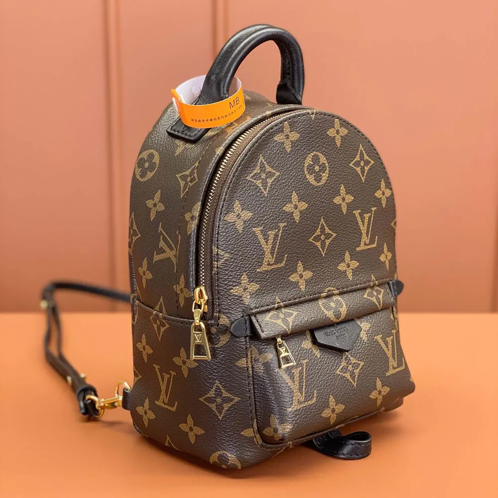 Louis Vuitton LV Women Palm Springs Mini M44873