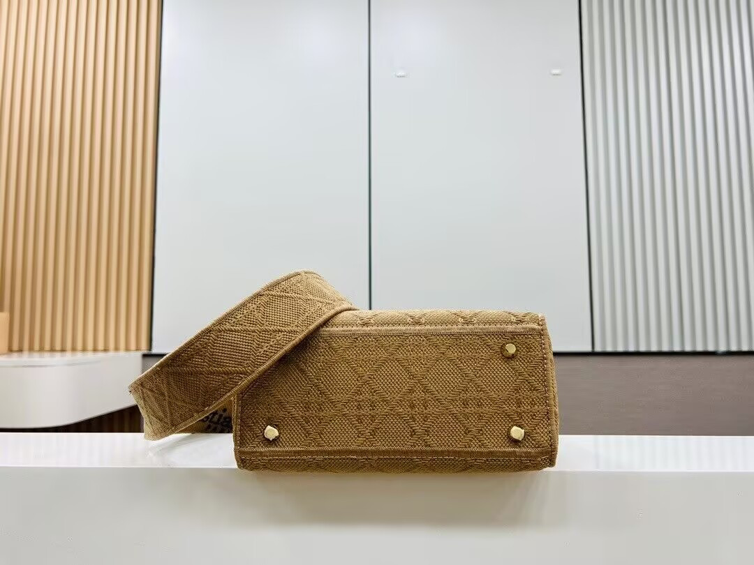 D10r Medium Lady D-Lite Bag 24x20x11cm
