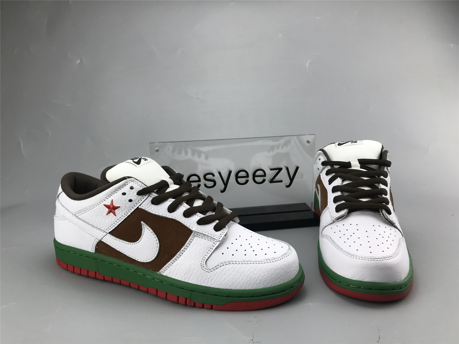 UA NIKE DUNK LOW PRO SB