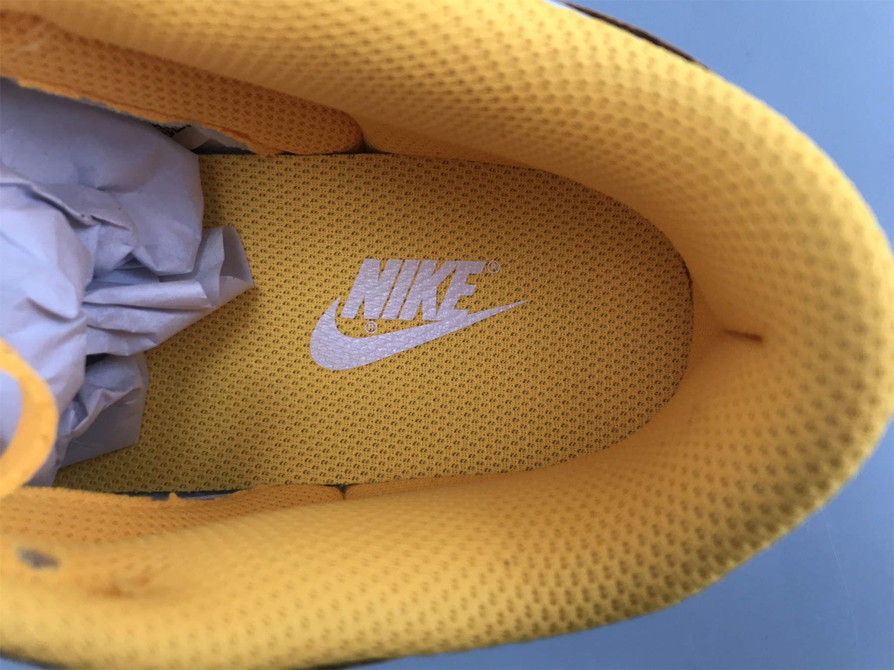 UA NIKE WMNS DUNK LOW 