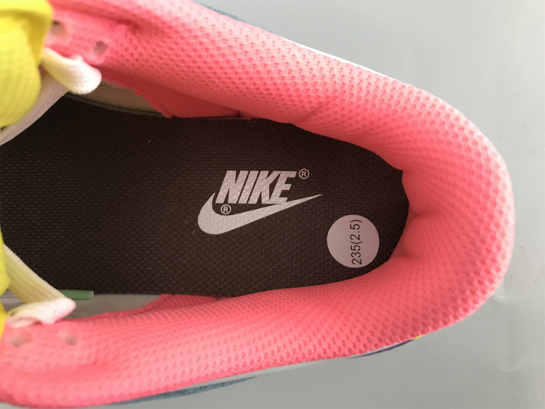 UA WMNS NIKE DUNK LOW SE