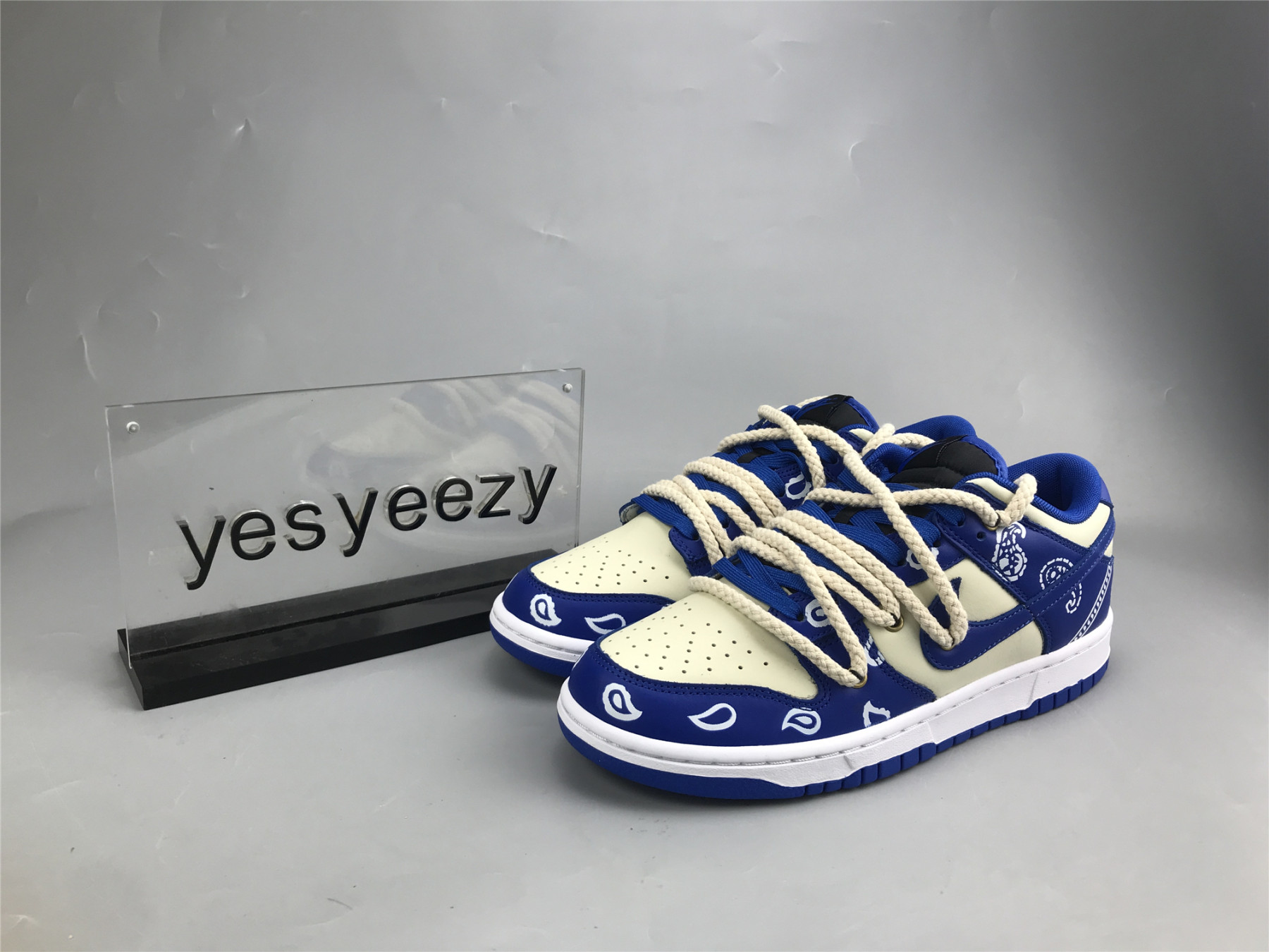 UA NIKE DUNK LOW 