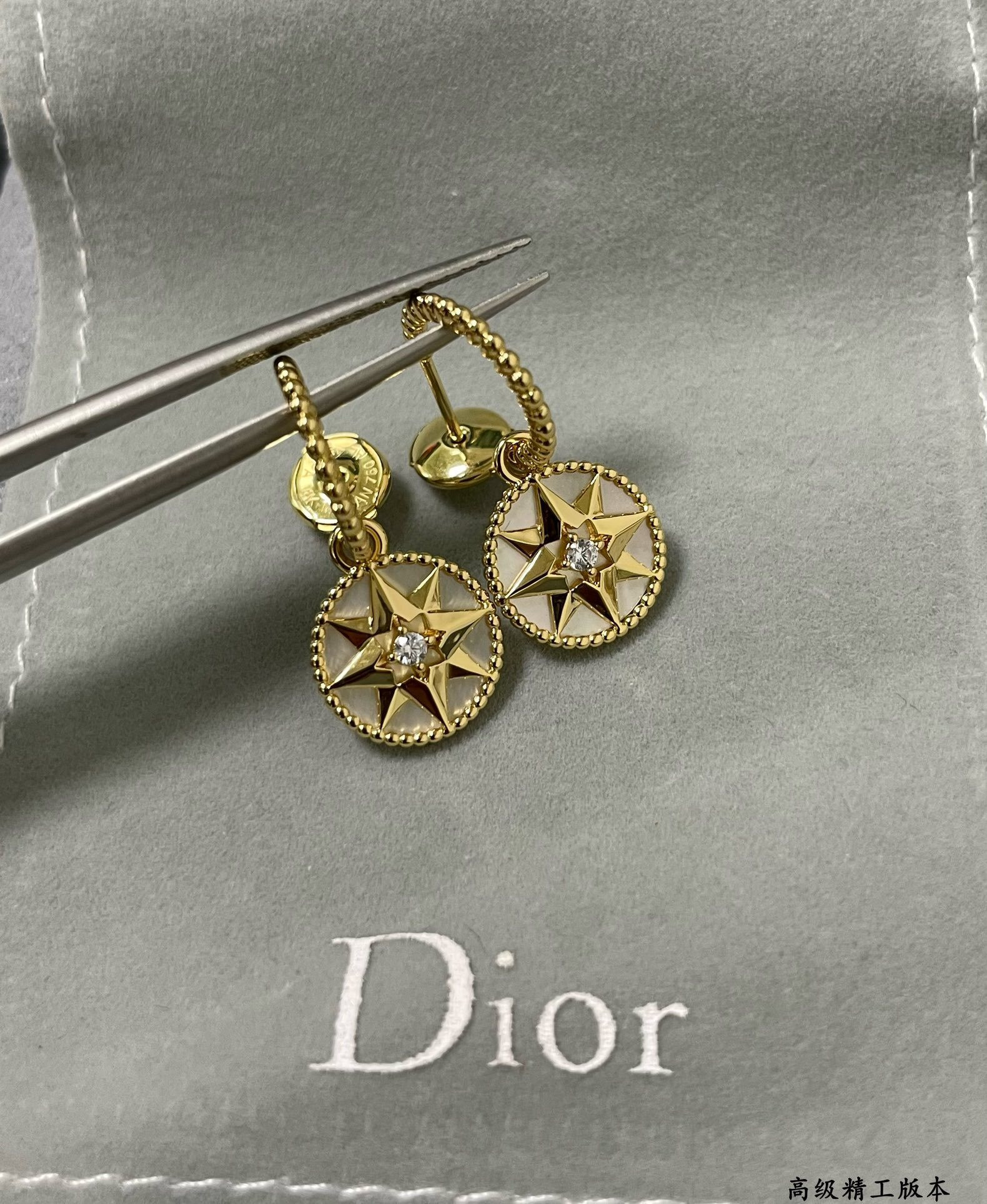 D10r rose des vents earrings