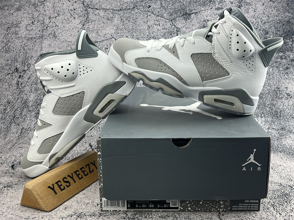 UA AIR JORDAN 6 RETRO 
