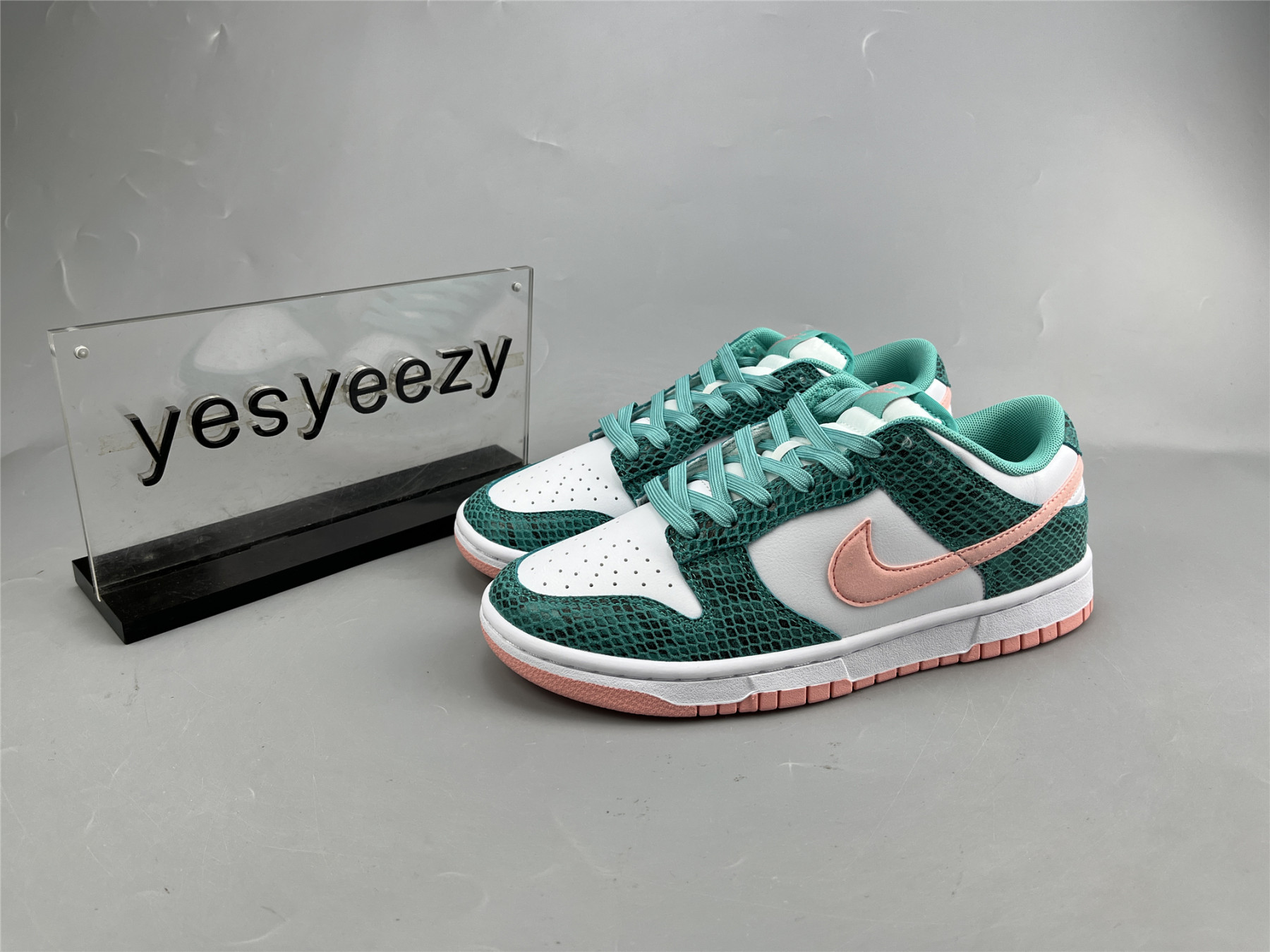 UA NIKE DUNK LOW 