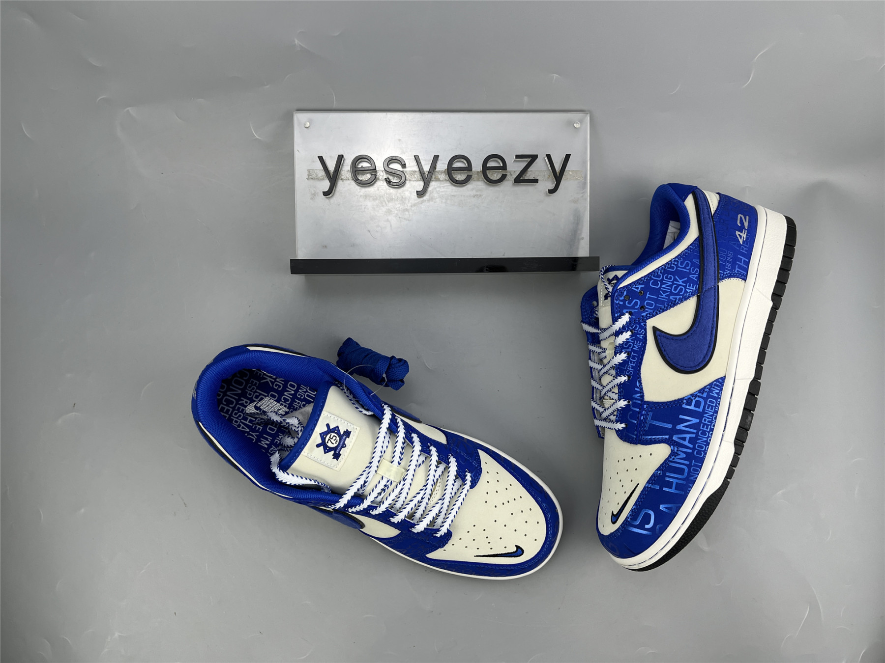 UA NIKE DUNK LOW GS