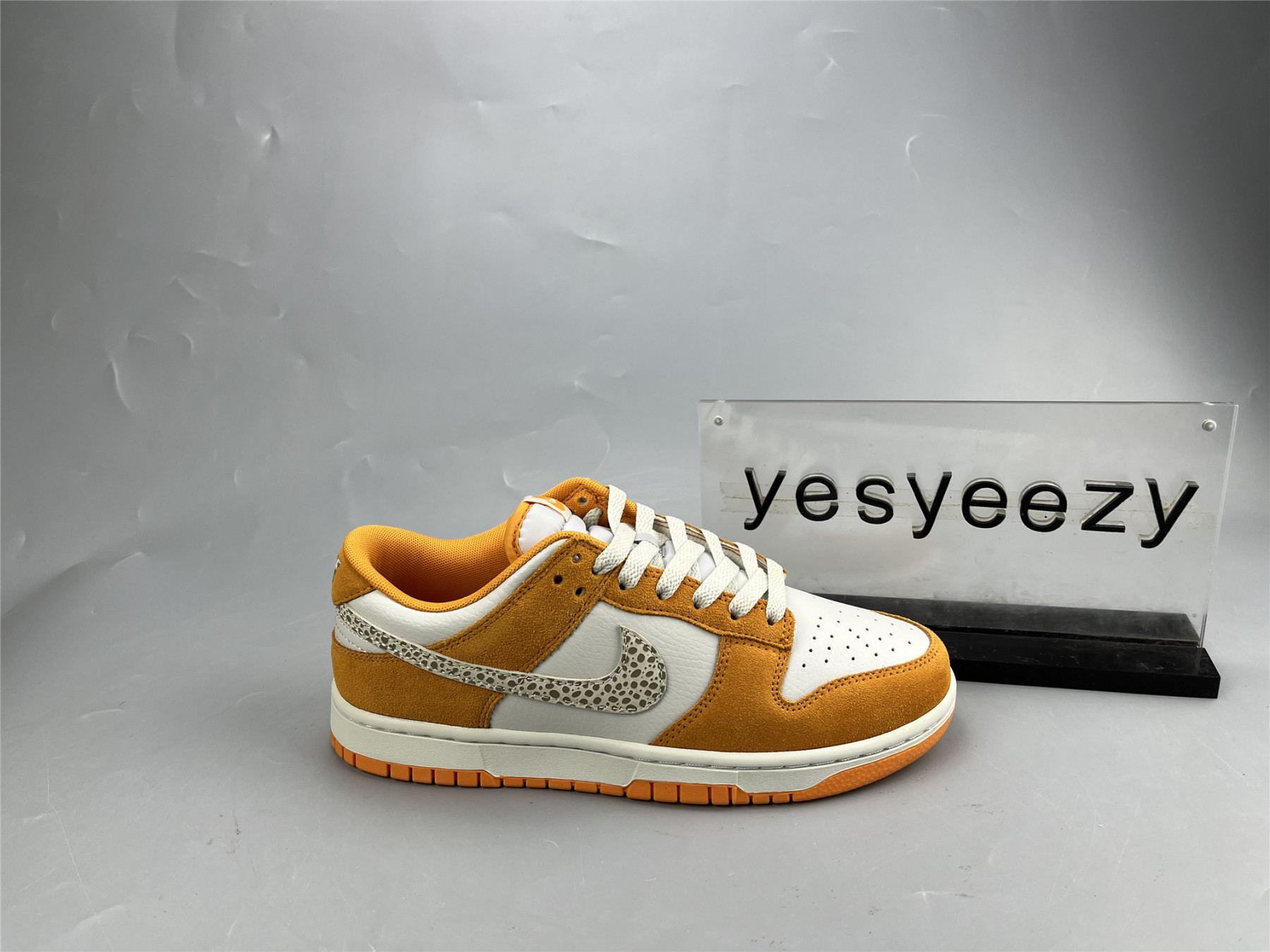 UA NIKE DUNK LOW 
