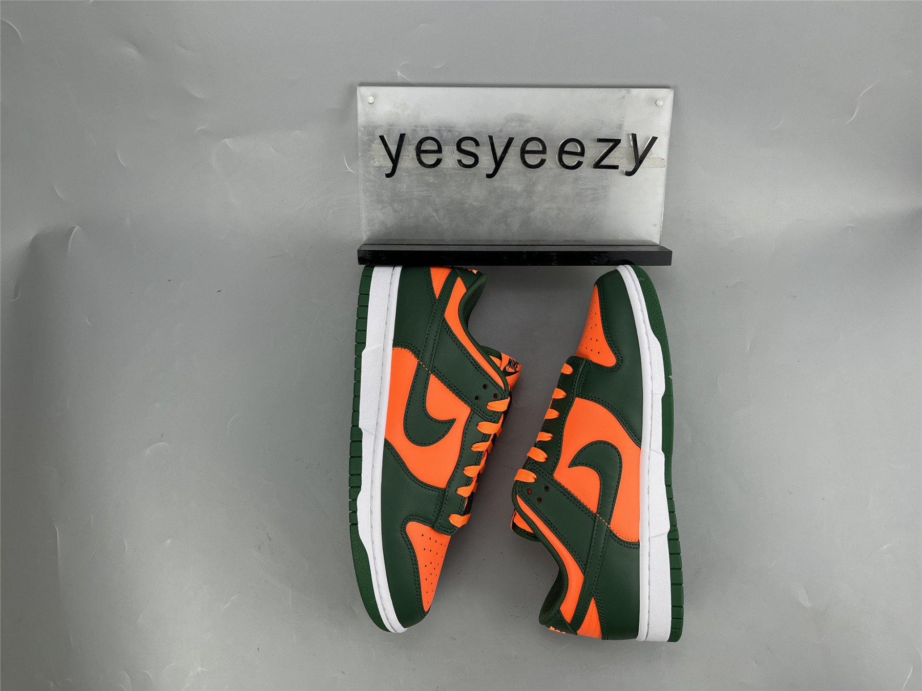 UA NIKE DUNK LOW 