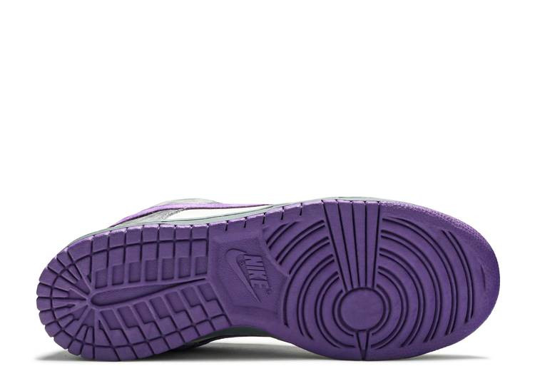 UA NIKE DUNK LOW PRO SB