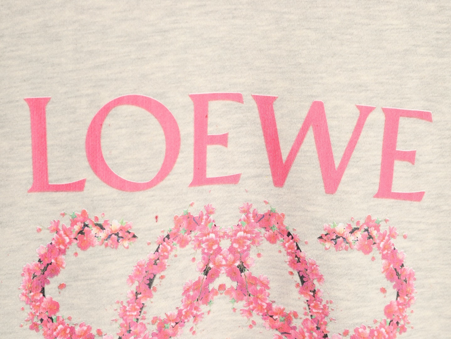 L0ew* 25FW Plush Hoodies
