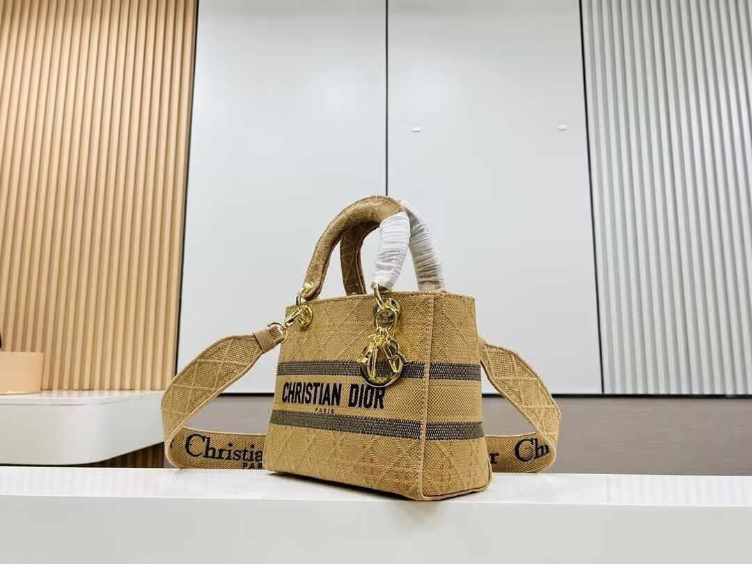 D10r Medium Lady D-Lite Bag 24x20x11cm