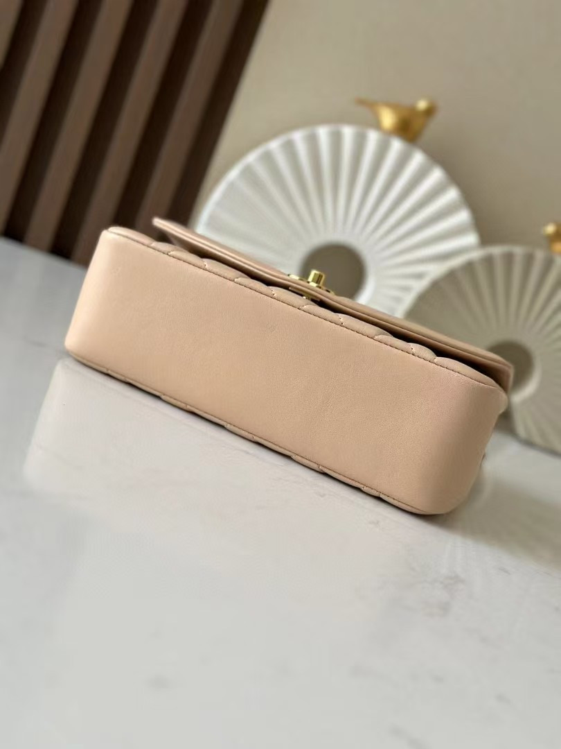 Ch**el Small Diana Flap Bag Lambskin Gold Hardware 22.5x14x7cm