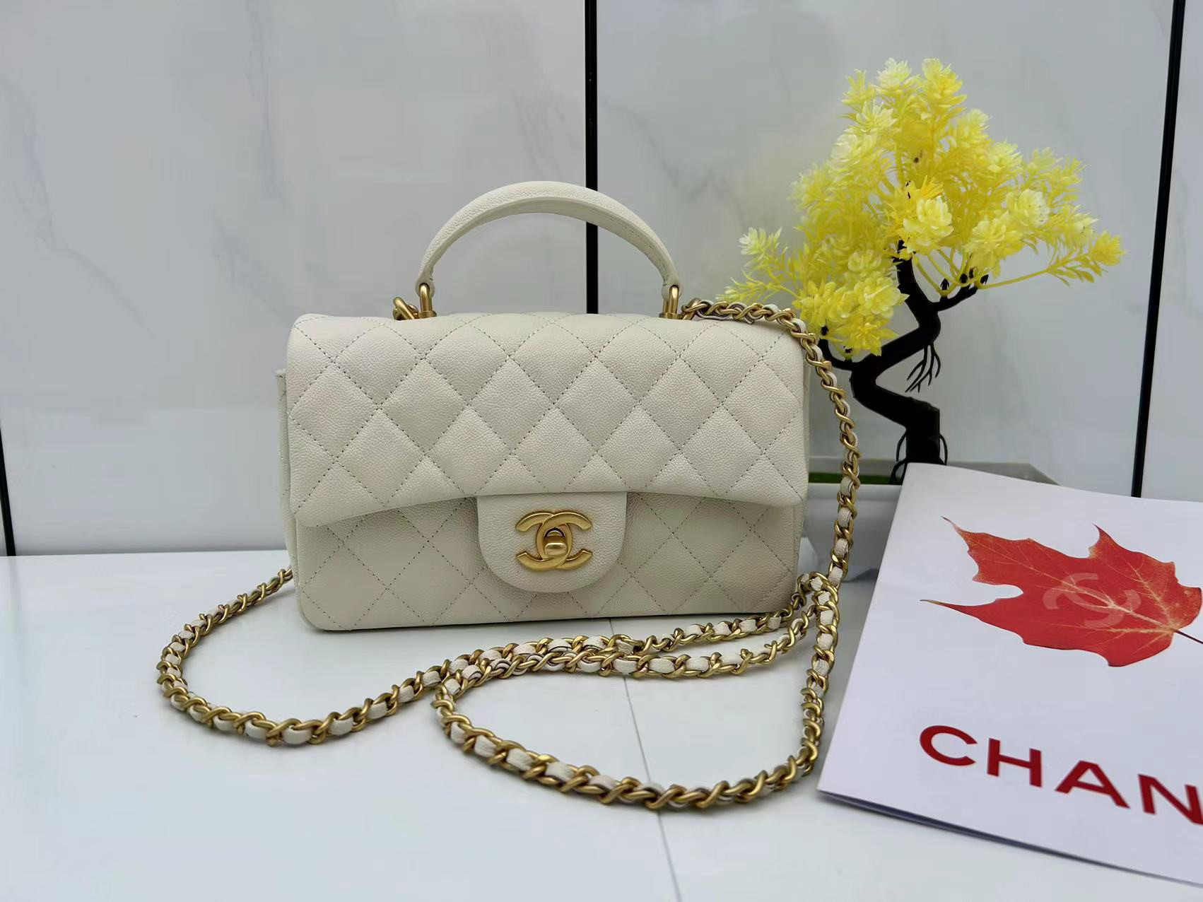 Ch**el Mini CF handle 20x12x6cm
