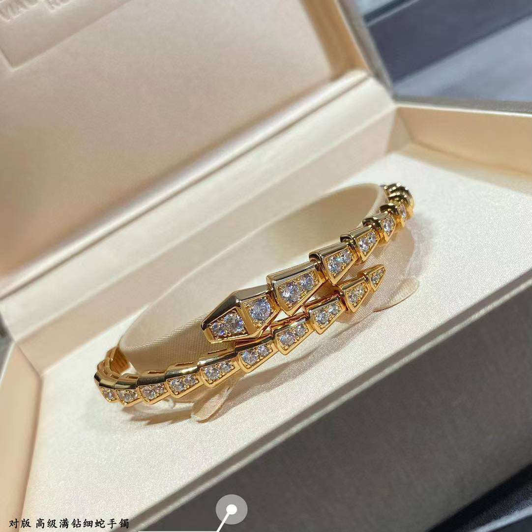 Bv1g*ai snake Bracelet