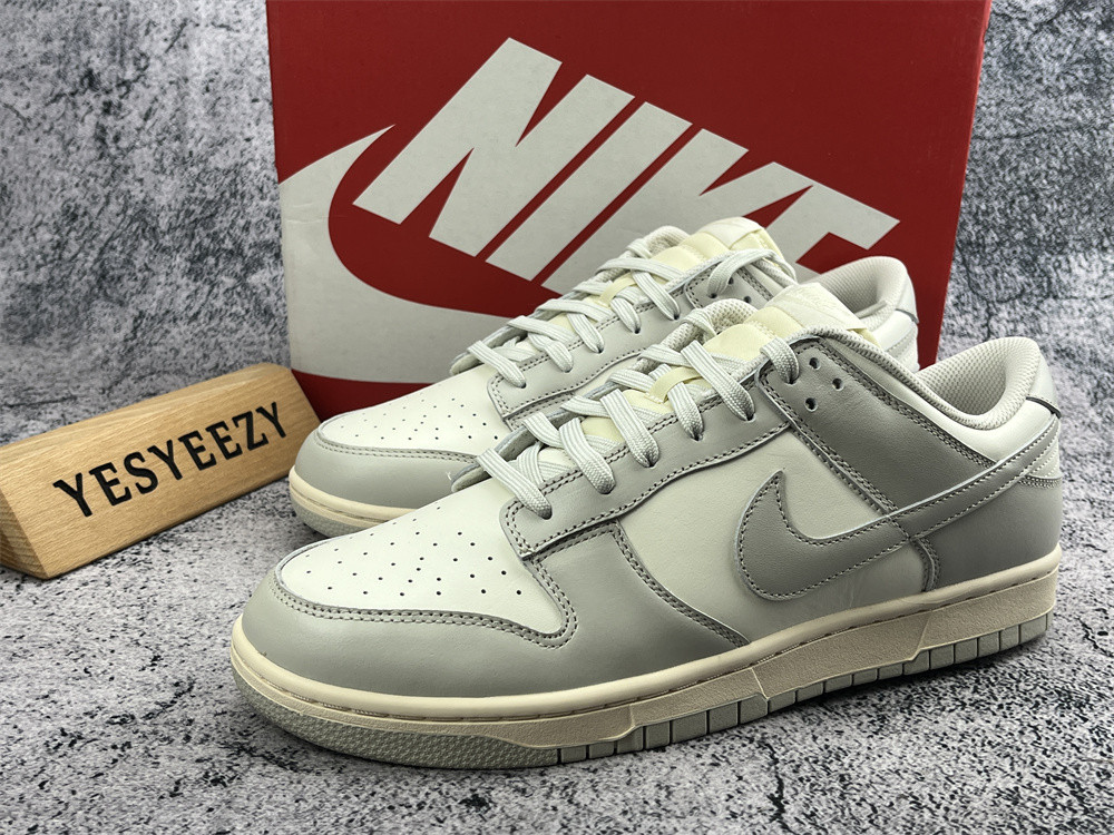 UA NIKE WMNS DUNK LOW