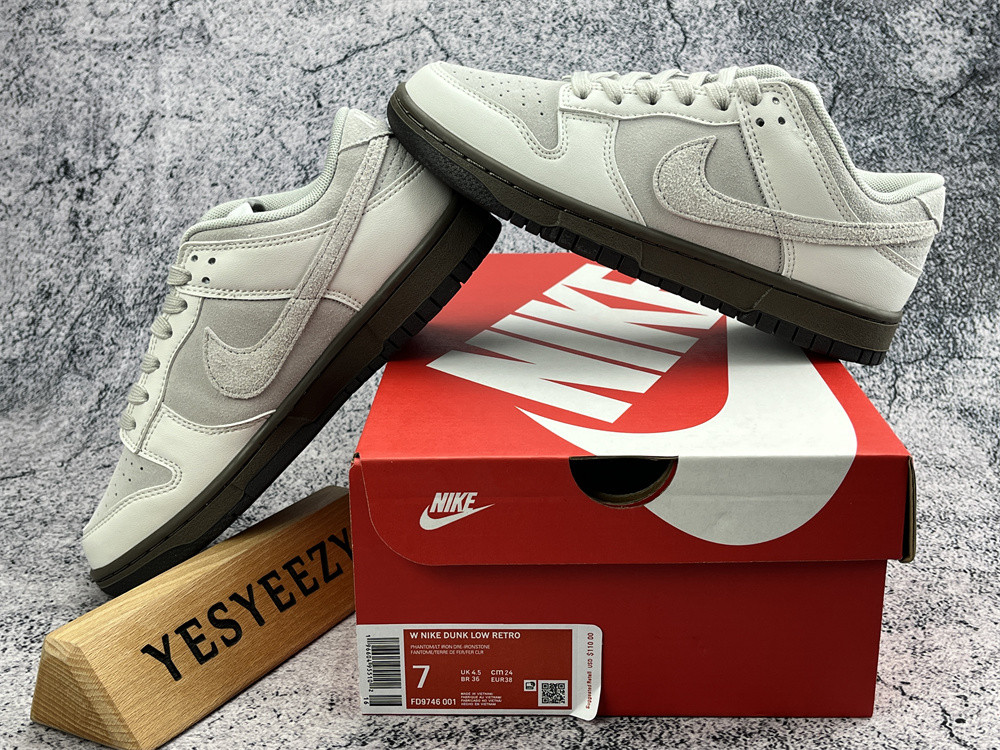 UA NIKE DUNK LOW
