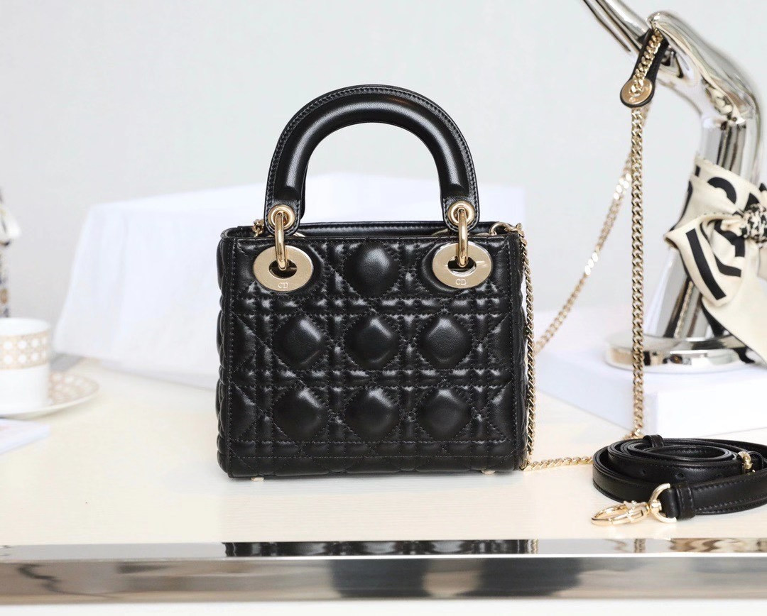 Mini Lady D10r Bag 17cm  6.5 x 6 x 3 inches