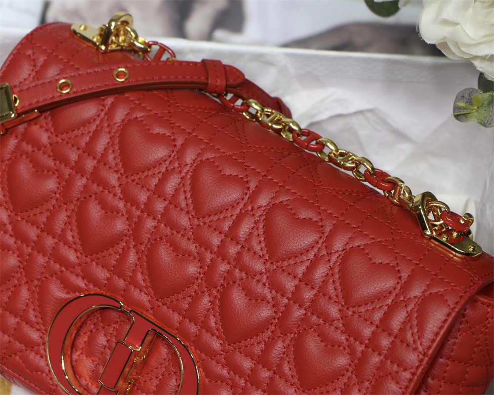 MEDIUM D10r CARO BAG amour red 25.5 x 15.5 x 8 cm