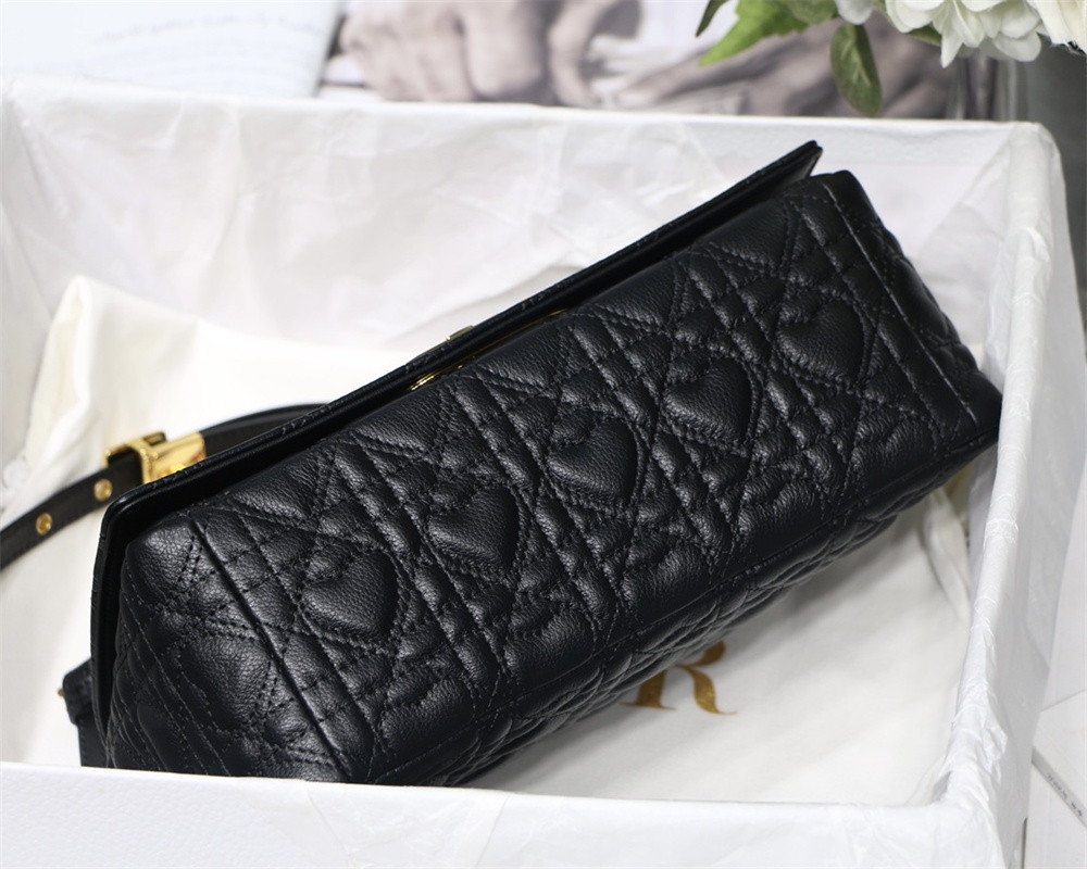MEDIUM D10r CARO BAG amour black 25.5 x 15.5 x 8 cm