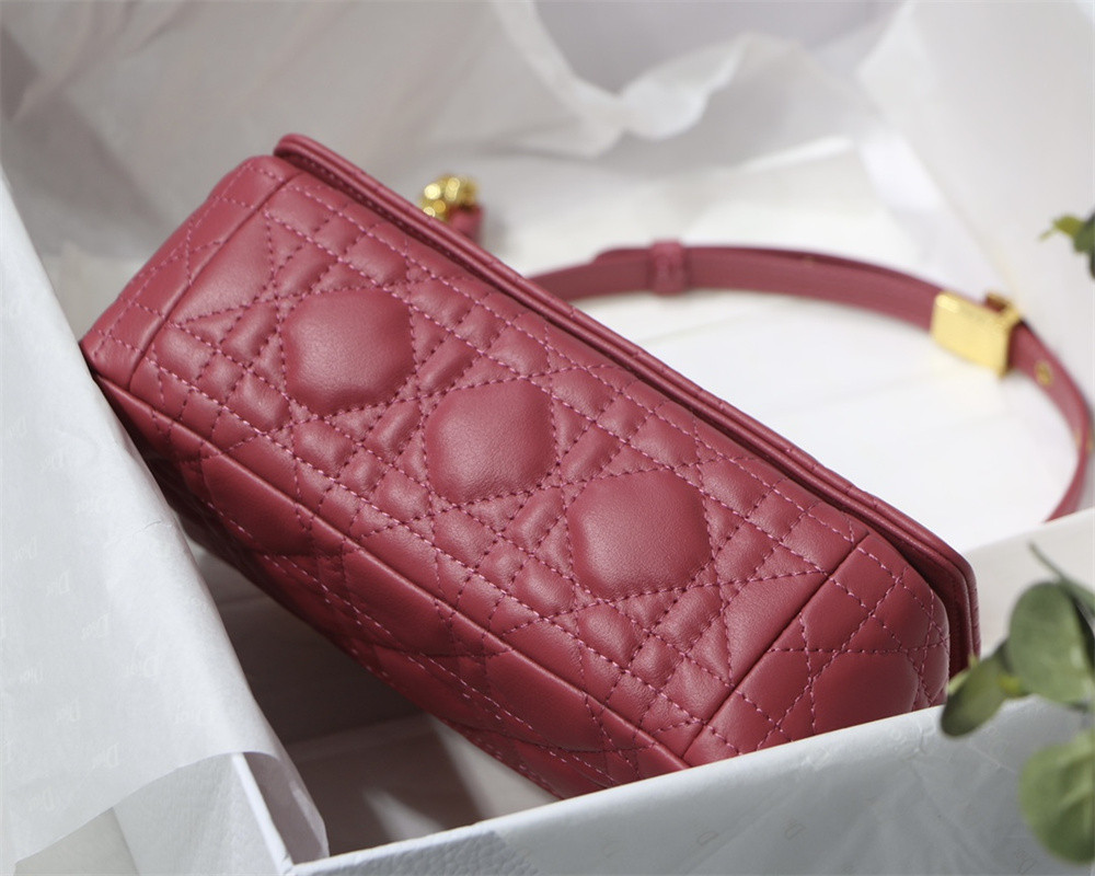 SMALL D10r CARO BAG Light red S*pple Cannage Calfskin 20 x 12 x 7 cm