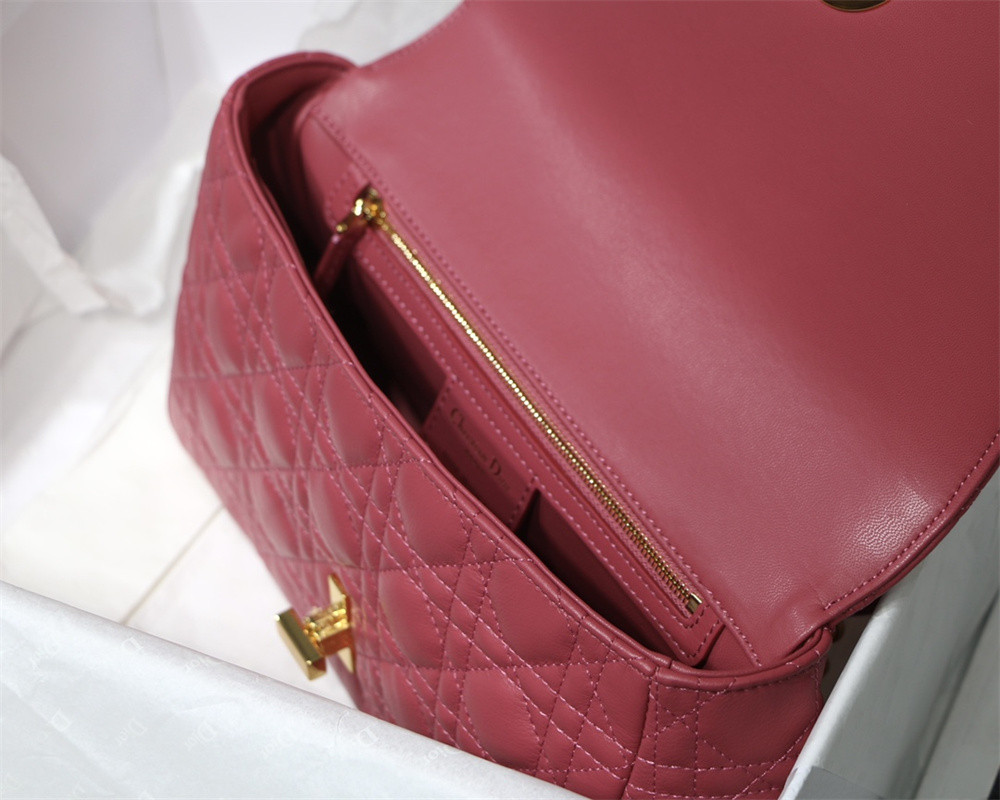 MEDIUM D10r CARO BAG S*pple Cannage Calfskin 25.5 x 15.5 x 8 cm