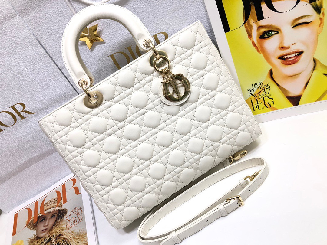 D10r Lady Bag 32 x 25 x 11cm