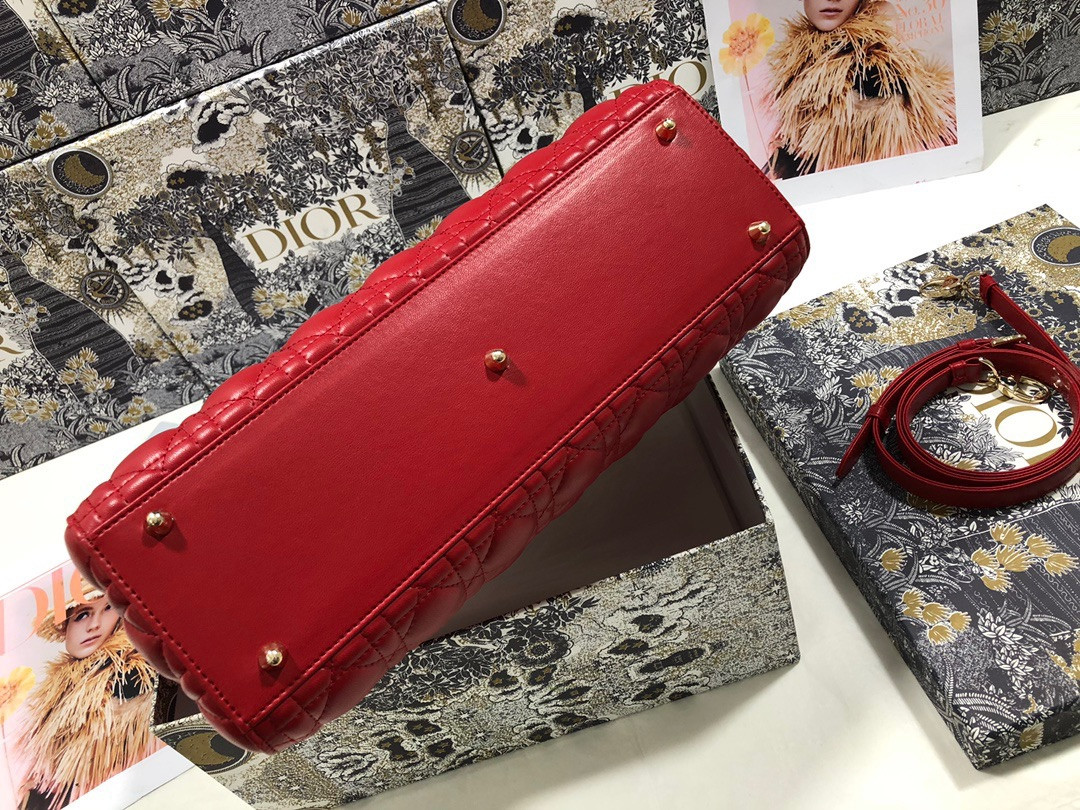 D10r Lady Bag 32 x 25 x 11cm