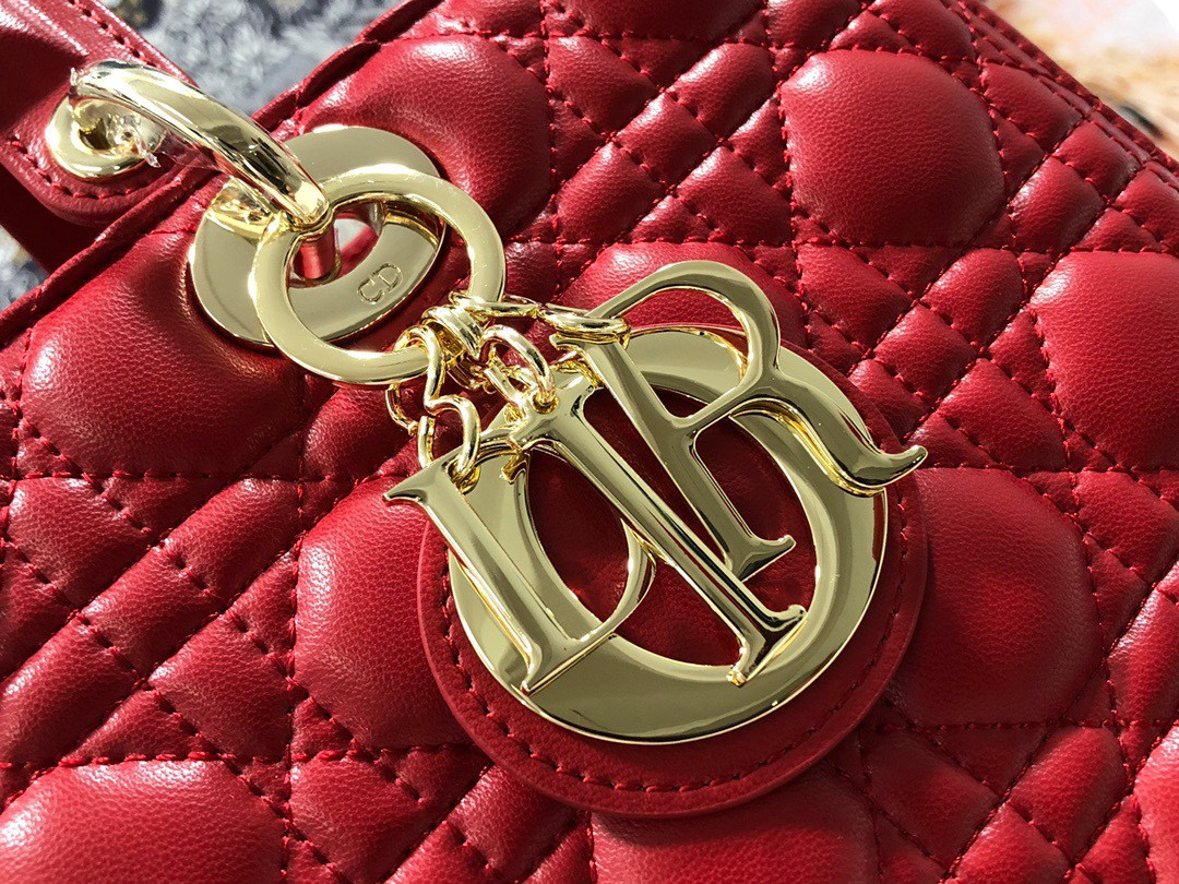 D10r Lady Bag 32 x 25 x 11cm