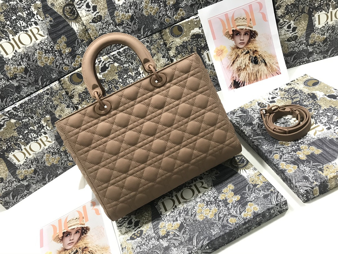 D10r Lady Bag 32 x 25 x 11cm